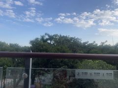 -逸廊大堂吧(三亚海棠湾万丽度假酒店)