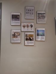 -FineYoga梵音瑜伽·普拉提