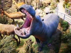 -陕西自然博物馆