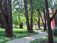 -北京市劳动人民文化宫(太庙)