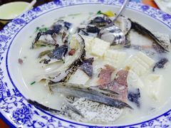 -全乐鱼馆·淳牌有机鱼直营店