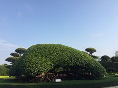 -南宁南湖公园