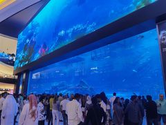 -迪拜水族馆及水下动物园
