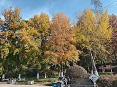 -昆山城市生态森林公园