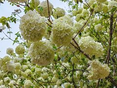 -大龙山(地铁站)