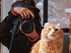 -猫小院猫主题餐厅(南锣旗舰店)