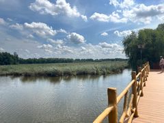 -白渔泡湿地公园