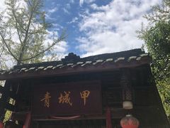 门面-青城甲(青城山店)