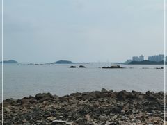 -野狸岛