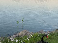 -池州市平天湖风景区
