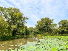 -西溪国家湿地公园