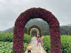 -广州市石门国家森林公园