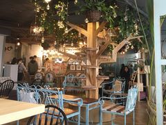 -共舞时光猫咖·狗咖(新街口店)