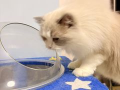 -鑫明明拉面(宁化路店)