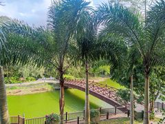 -三亚亚龙湾金棕榈度假酒店