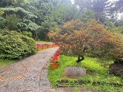 -庐山风景区花径公园