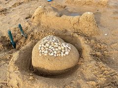 -天津东疆湾沙滩景区