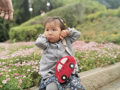 -南诏风情岛