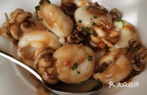 Shunde Meiji Squidlets