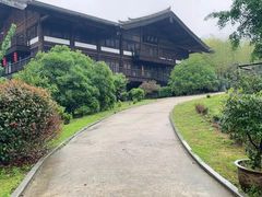 -大唐贡茶院