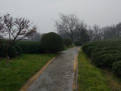 -南京市江宁方山
