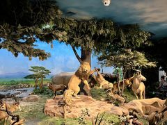 -国家自然博物馆