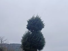 -中央广播电视总台(光华路办公区)