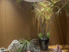 -大丰收·李家(浦西万达店)