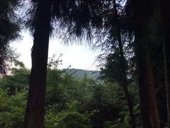 -武陵山森林公园