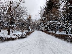 -长春市南湖公园