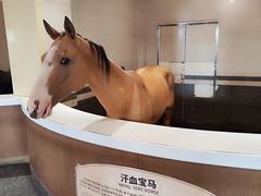 -中国马镇舞马世界主题乐园