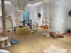 -1013 PET SHOP精品宠物商店(丁香店)