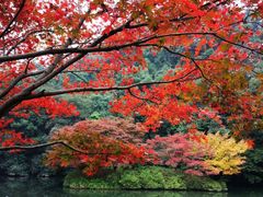 -大宁灵石公园西门票处