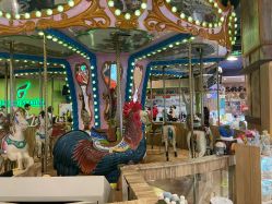 -卡通尼·Safari非洲探索乐园·生日会(金桥国际商业广场店)