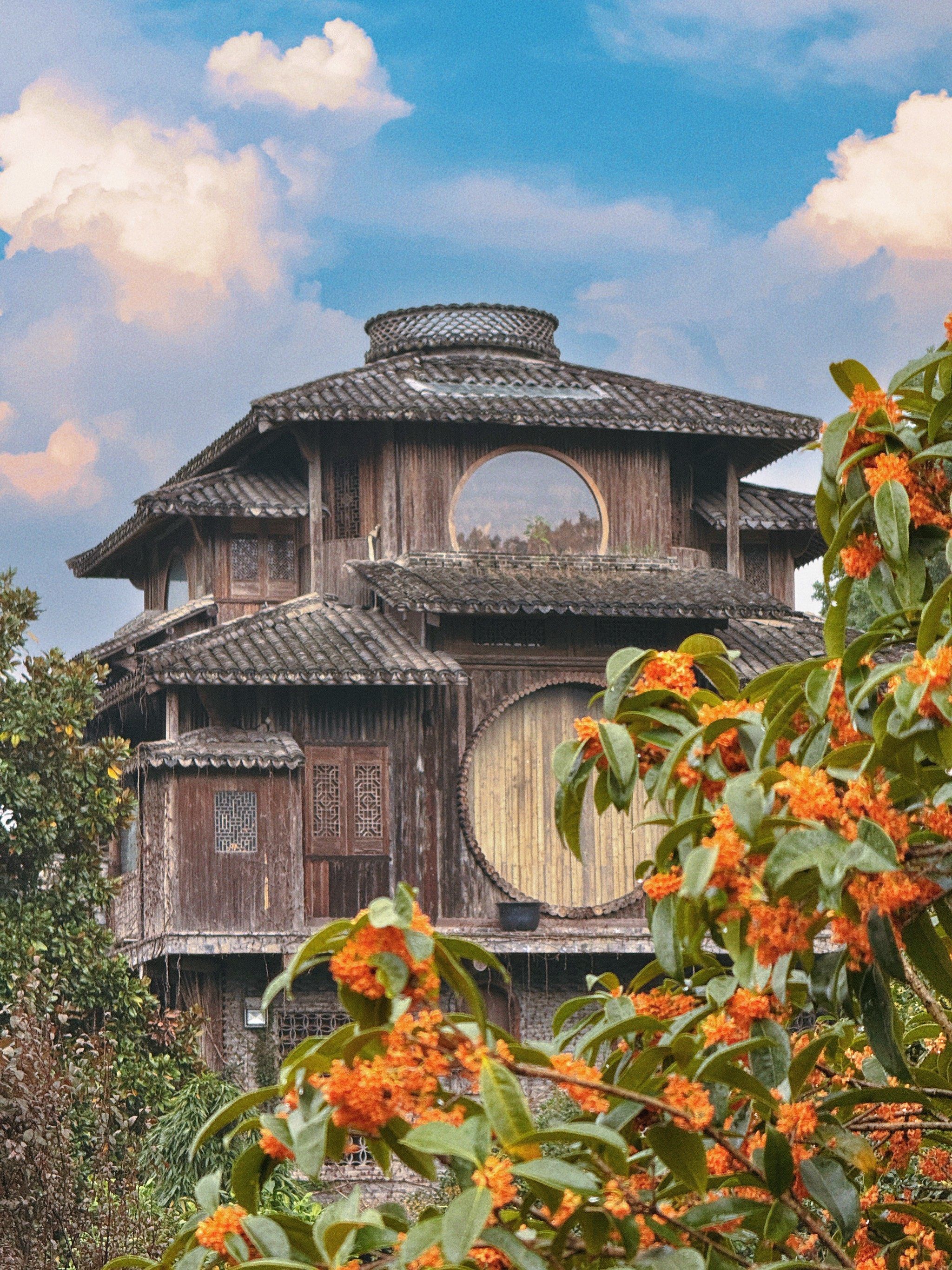 杭州满陇桂雨,宫崎骏汤屋!