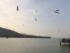 -长广溪湿地公园