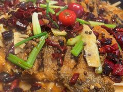 -老板恋上鱼(恒隆广场店)