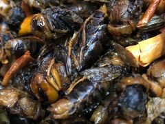 -昆虫窝子·特色云南菜(拓东路总店)