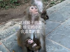 -黔灵山公园