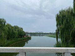 -大兴滨河森林公园