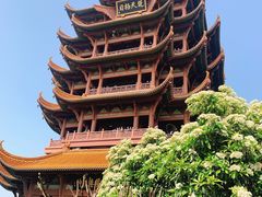 -黄鹤楼公园(黄鹤楼)