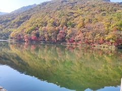 -龙道沟景区