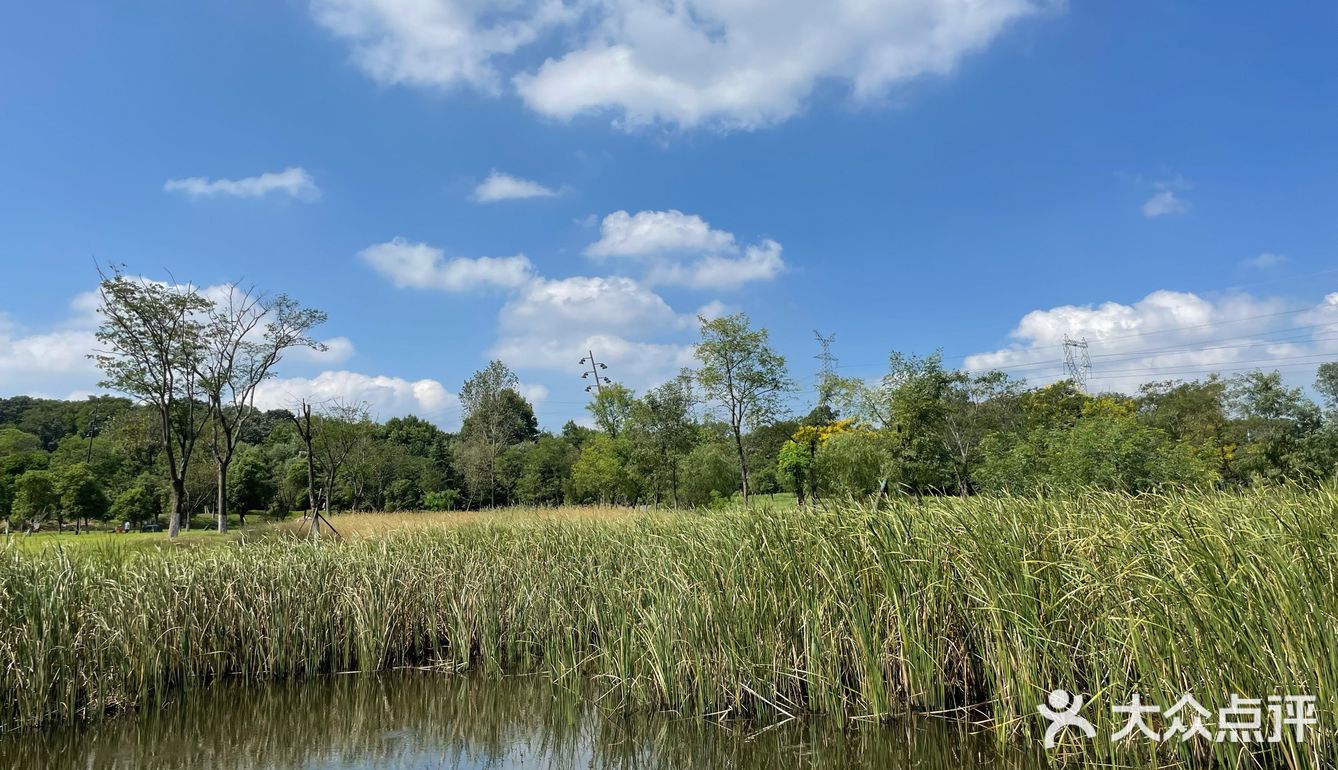 海蓝蓝的夏天[礼花] 南京佛手湖郊野公园