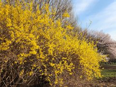 -长春公园(普阳街道)