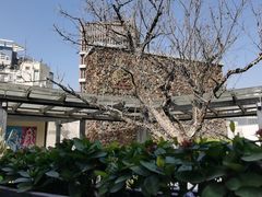 -胜记酒家·风味线(南山花园城店)