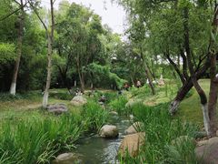 -新洲生态园