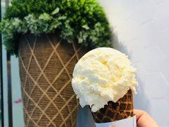 香草单球华夫筒-TIPTOP冰淇淋(恒隆店)