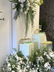-Doris一站式游轮婚礼船东直营店(外滩店)