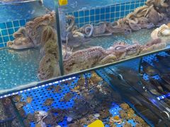 -前王院•巧克力海鲜市集餐厅(万平口店)