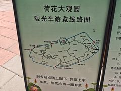 -白洋淀景区